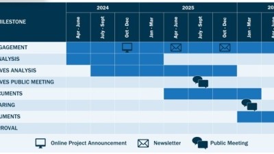 Milestone Schedule